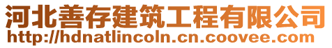 河北善存建筑工程有限公司