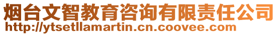 煙臺文智教育咨詢有限責(zé)任公司