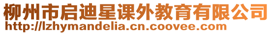 柳州市啟迪星課外教育有限公司