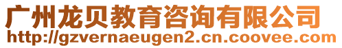 廣州龍貝教育咨詢有限公司