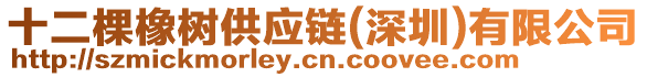 十二棵橡樹(shù)供應(yīng)鏈(深圳)有限公司