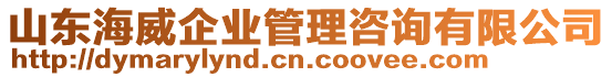 山東海威企業(yè)管理咨詢有限公司