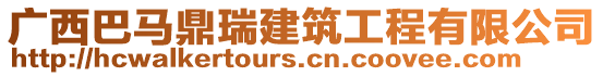 廣西巴馬鼎瑞建筑工程有限公司