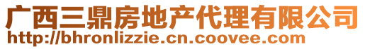 廣西三鼎房地產(chǎn)代理有限公司