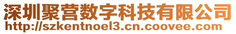深圳聚營數字科技有限公司