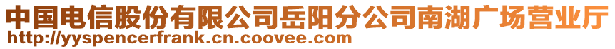 中國(guó)電信股份有限公司岳陽(yáng)分公司南湖廣場(chǎng)營(yíng)業(yè)廳