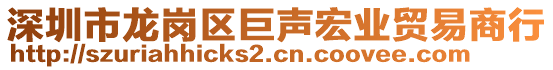 深圳市龍崗區(qū)巨聲宏業(yè)貿(mào)易商行