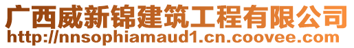 廣西威新錦建筑工程有限公司