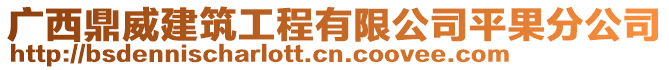 廣西鼎威建筑工程有限公司平果分公司