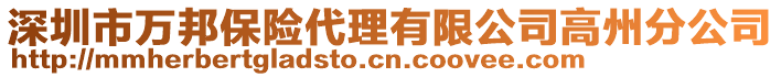 深圳市萬邦保險代理有限公司高州分公司