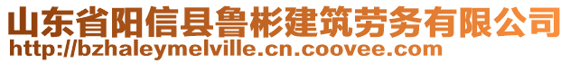 山東省陽信縣魯彬建筑勞務有限公司