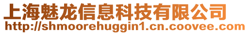 上海魅龍信息科技有限公司