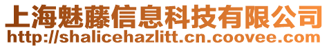 上海魅藤信息科技有限公司