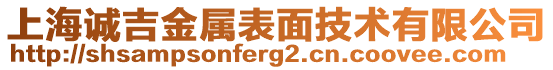 上海誠吉金屬表面技術(shù)有限公司