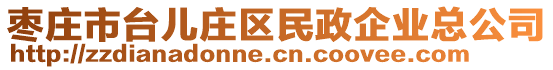 枣庄市台儿庄区民政企业总公司