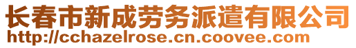 長(zhǎng)春市新成勞務(wù)派遣有限公司