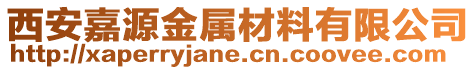 西安嘉源金屬材料有限公司