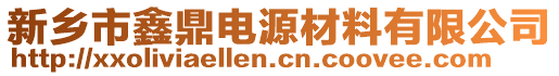 新鄉(xiāng)市鑫鼎電源材料有限公司