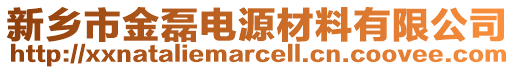 新鄉(xiāng)市金磊電源材料有限公司