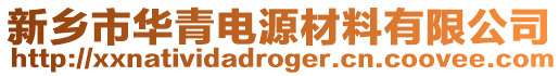 新鄉(xiāng)市華青電源材料有限公司