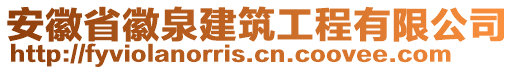 安徽省徽泉建筑工程有限公司