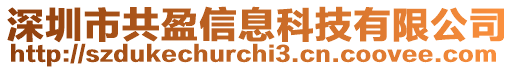 深圳市共盈信息科技有限公司