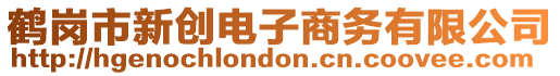 鶴崗市新創電子商務有限公司
