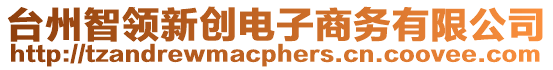 臺(tái)州智領(lǐng)新創(chuàng)電子商務(wù)有限公司