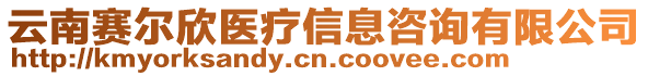 云南賽爾欣醫療信息咨詢有限公司