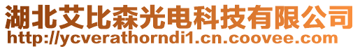 湖北艾比森光電科技有限公司