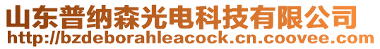 山東普納森光電科技有限公司