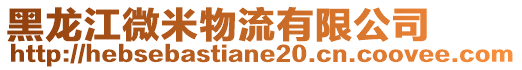 黑龍江微米物流有限公司