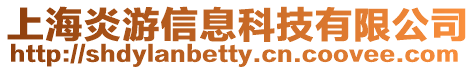 上海炎游信息科技有限公司