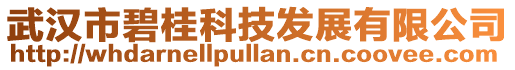武漢市碧桂科技發(fā)展有限公司