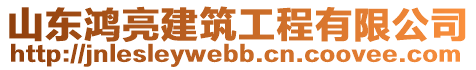 山東鴻亮建筑工程有限公司