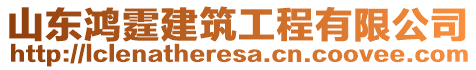 山東鴻霆建筑工程有限公司