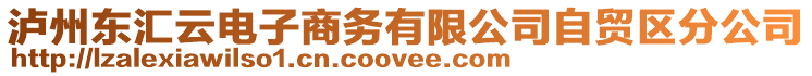 瀘州東匯云電子商務有限公司自貿區分公司