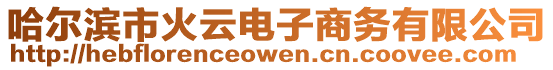 哈爾濱市火云電子商務有限公司