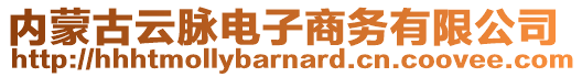 內(nèi)蒙古云脈電子商務(wù)有限公司