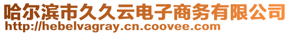 哈爾濱市久久云電子商務(wù)有限公司