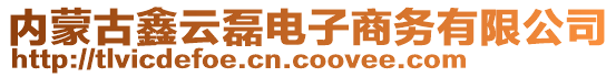 內(nèi)蒙古鑫云磊電子商務有限公司