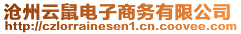 滄州云鼠電子商務有限公司