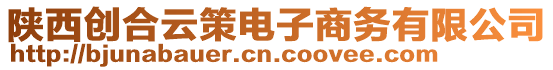 陜西創(chuàng)合云策電子商務(wù)有限公司