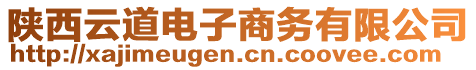 陜西云道電子商務有限公司