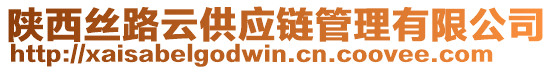 陜西絲路云供應(yīng)鏈管理有限公司