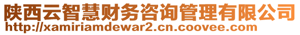 陜西云智慧財務(wù)咨詢管理有限公司