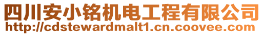 四川安小銘機電工程有限公司