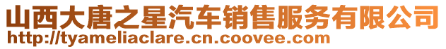 山西大唐之星汽車銷售服務有限公司