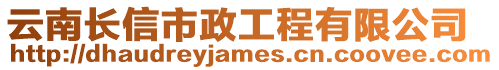 云南長信市政工程有限公司