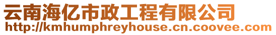 云南海億市政工程有限公司
